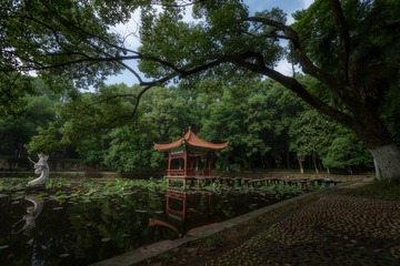_DSC8034-HDR-1