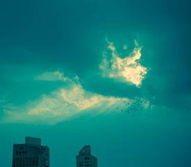 8FC58C64-AE0F-430E-8F02-3A898F07ADA5/L0/001