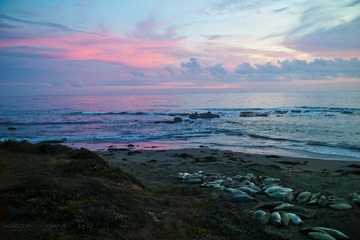 L1005523.jpg