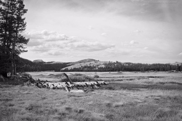 L1004586-3.jpg