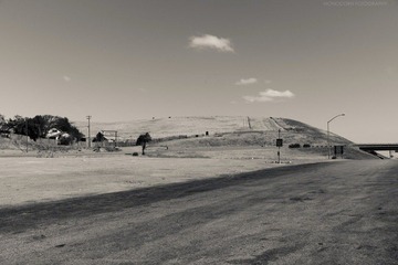 L1004779-2.jpg