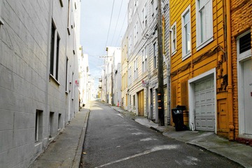 L1004937-1.jpg