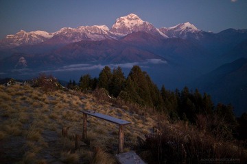 L1006988-2.jpg
