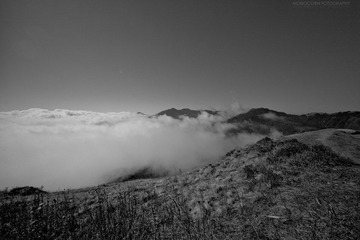 L1007106.jpg