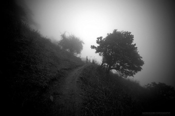 L1007154-2.jpg