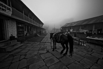 L1007161-3.jpg