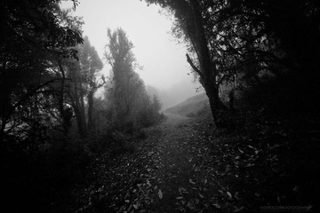 L1007173.jpg