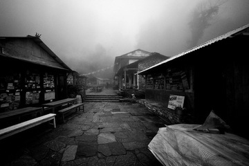 L1007179.jpg