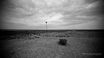 L1009540.jpg