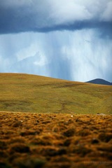 高原雨