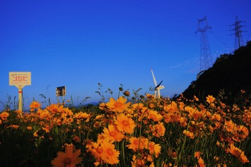 8D209793-4F72-4A41-B28E-E8F37D9946DB/L0/001