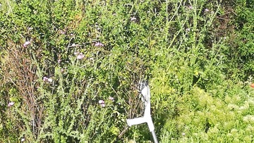 IMG_20200508_092136