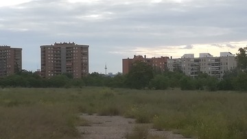 documentary-ciudadgood