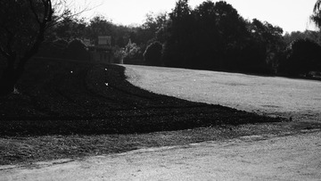 DSC09019