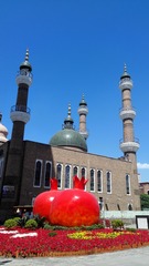 20133
