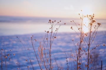 413CBF62-0DD3-48B2-A234-5F9775BB75F1/L0/001