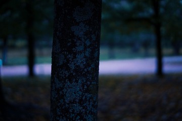 2F11C84E-6AF3-4082-9667-F5526F23755C/L0/001