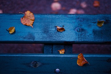 85A6B531-6838-4753-A3D1-0C37F9B70452/L0/001