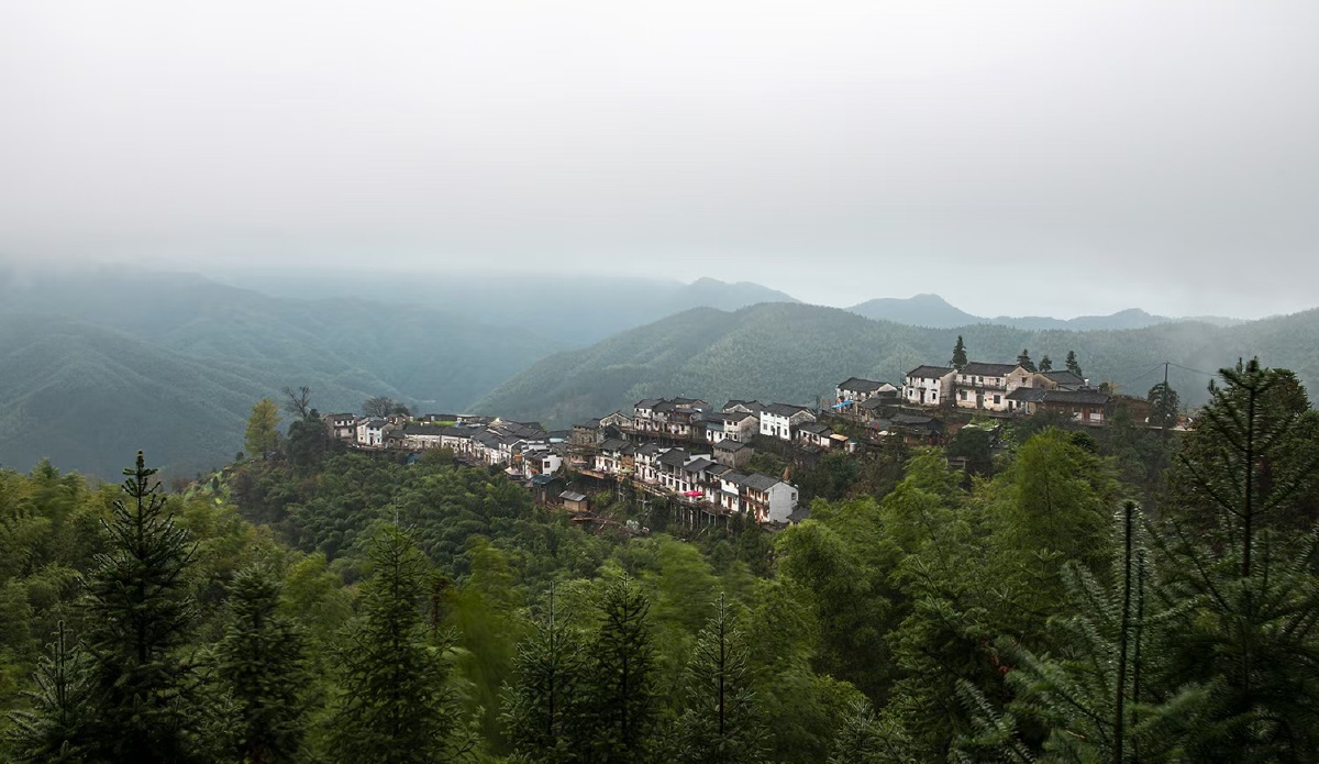 黄山市休宁县溪口镇木梨硔hong村明末建村已260多年52户160多人原姓环