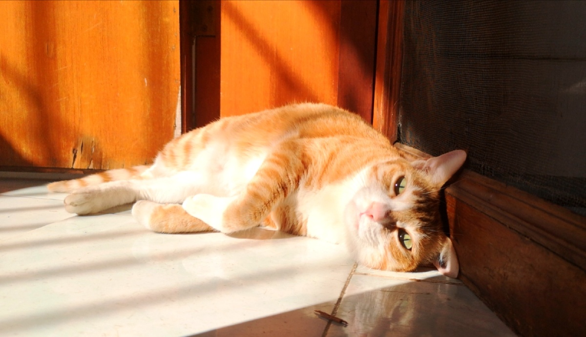 晒晒太阳补补钙