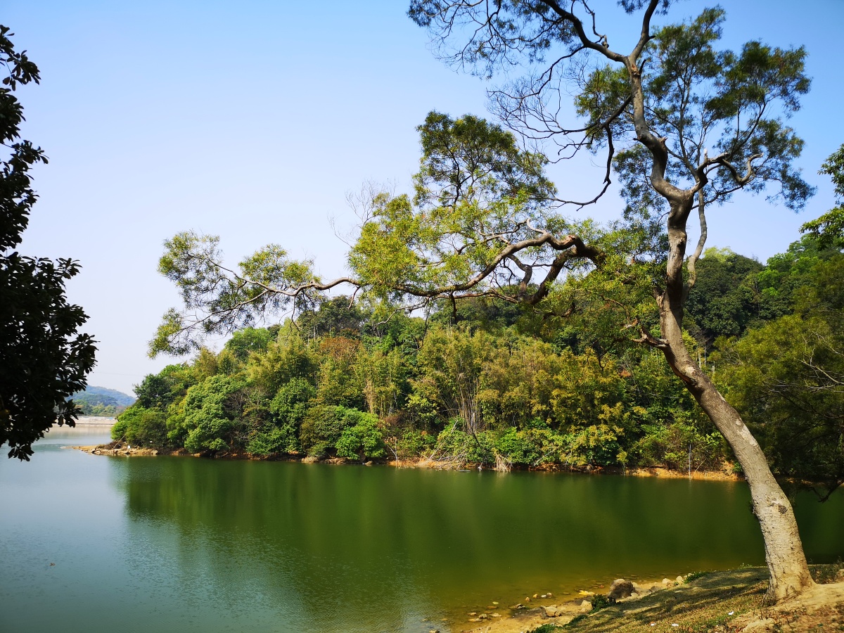 山水之间湖光树影