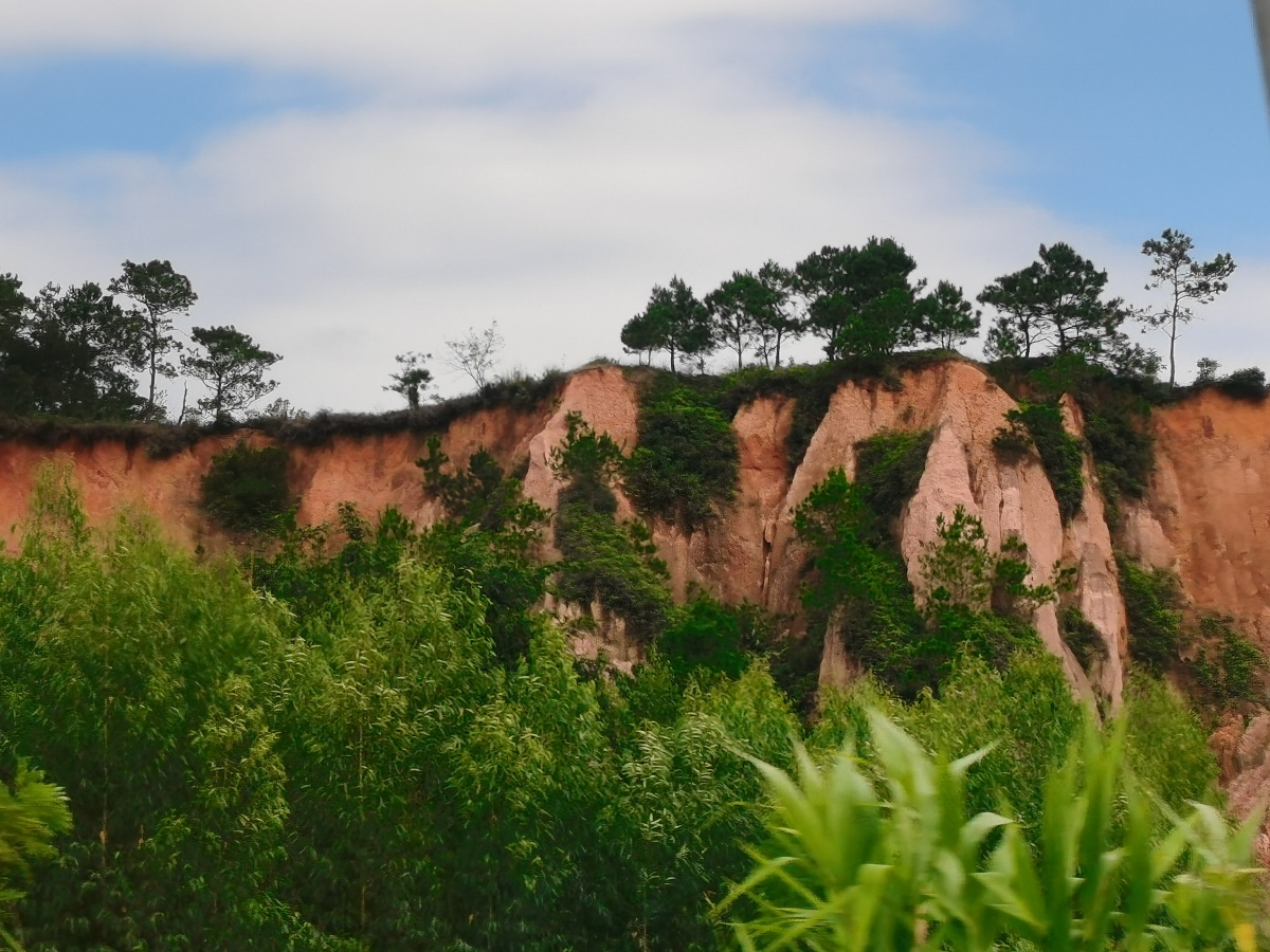 水土流失破坏植被