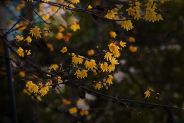 E3D0F85A-49DC-4877-A782-A358BB9E2F34/L0/001