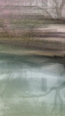 49807066-A981-41B2-81A6-2A117251EE6D/L0/001