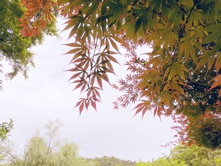 B28C31EB-8253-4D5F-A28B-6F93191E3812/L0/001