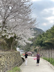 2B60BF95-D600-4E9D-8143-AD1BB39CB344/L0/001