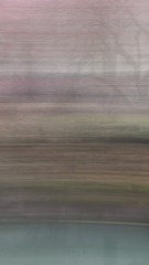 D77EA217-79EC-4CFE-884B-58A027F71E2C/L0/001