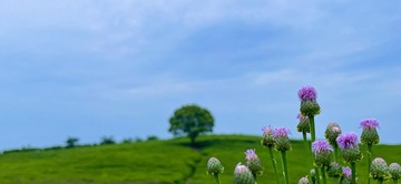 F3ED52B5-2C18-434F-9419-5E9476A6DF3E/L0/001