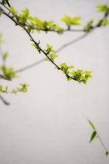 AA27EC47-5AB0-44E7-A6D1-38C57BFB1160/L0/001