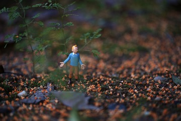 C4D35CE5-6209-48A0-AA10-F9707263ECDD/L0/001