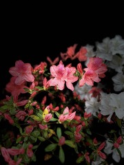 14E41893-CE37-4D79-A7DF-9E0305C31C77/L0/001