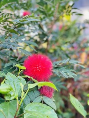 6F0746A1-2C91-4F15-B578-1E391FC854A0/L0/001