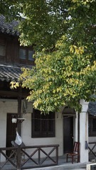 E72D7987-0AD4-452E-88D5-1652521A1491/L0/001