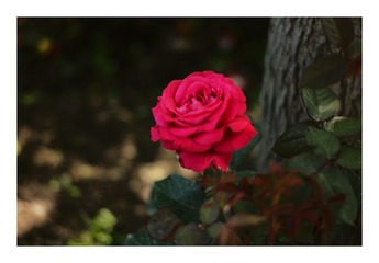 1241035