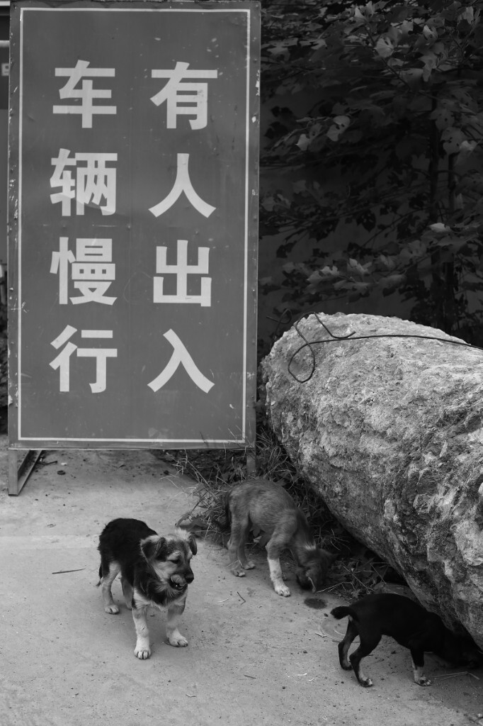 门