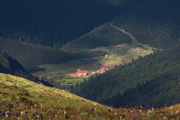 _IMG1818