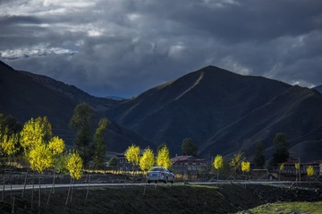 _IMG2508