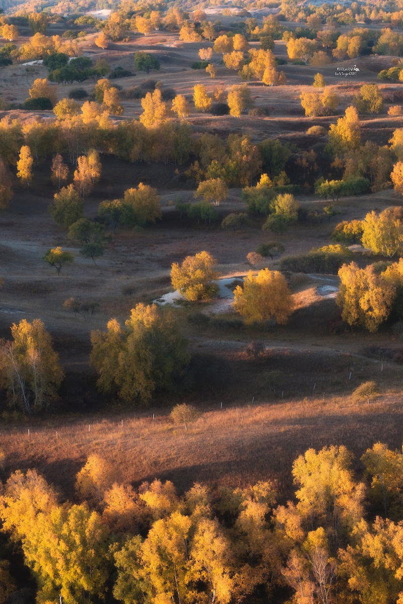 17-10.23】图虫一周精选