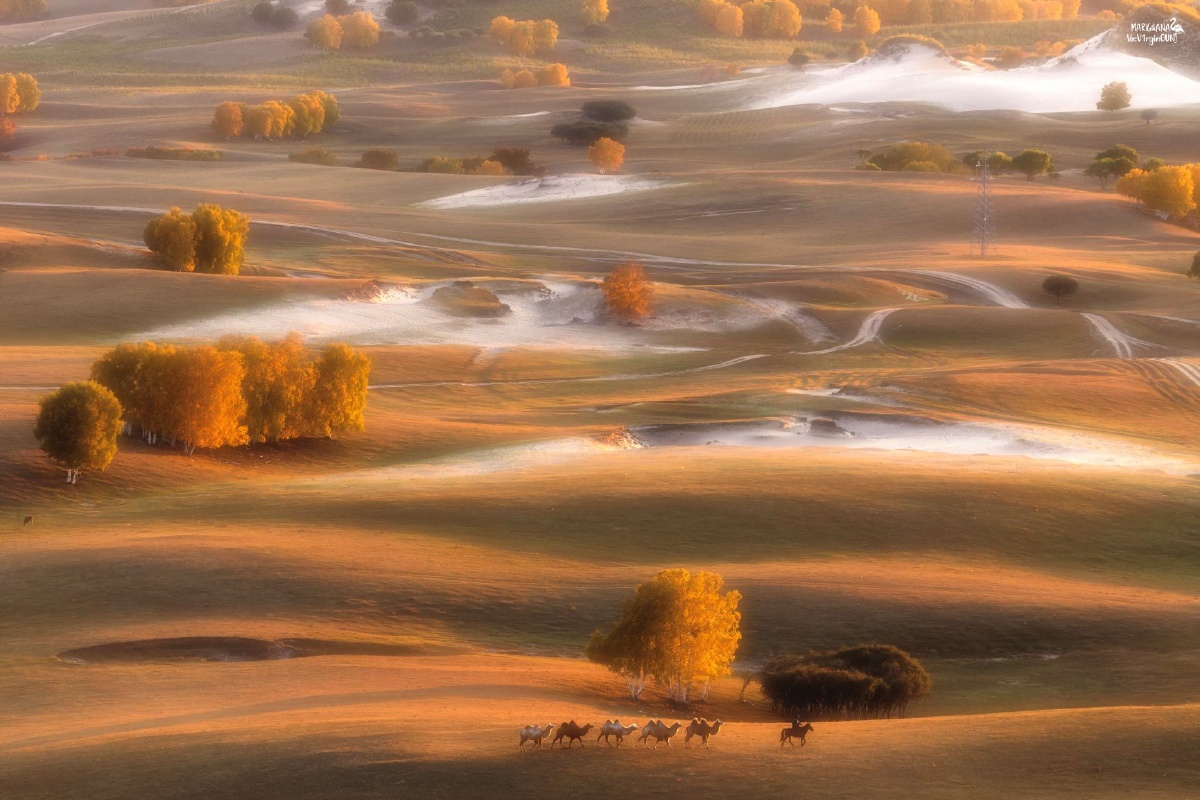 17-10.23】图虫一周精选