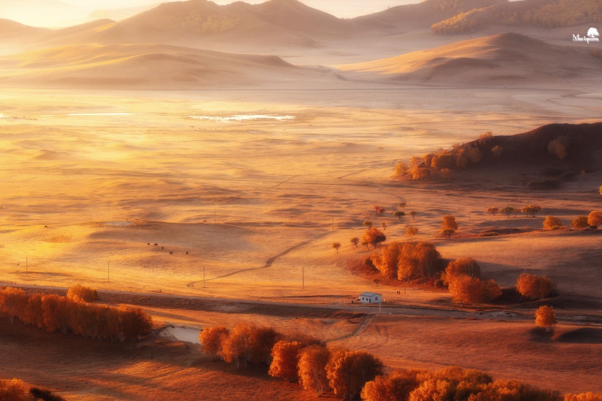 17-10.23】图虫一周精选