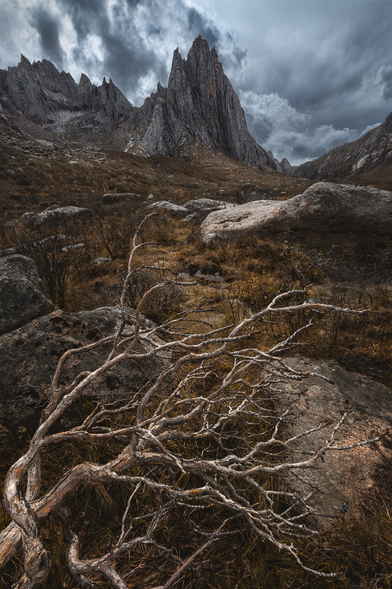 1-1.8|图虫一周精选 - 图虫精选站