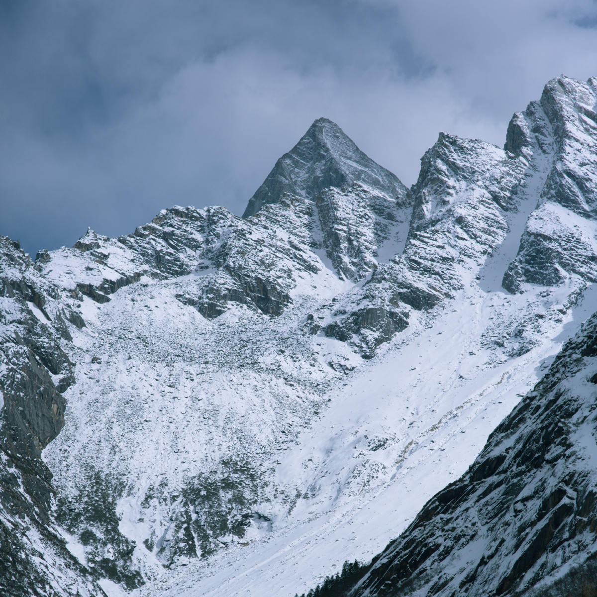 415423图虫一周精选