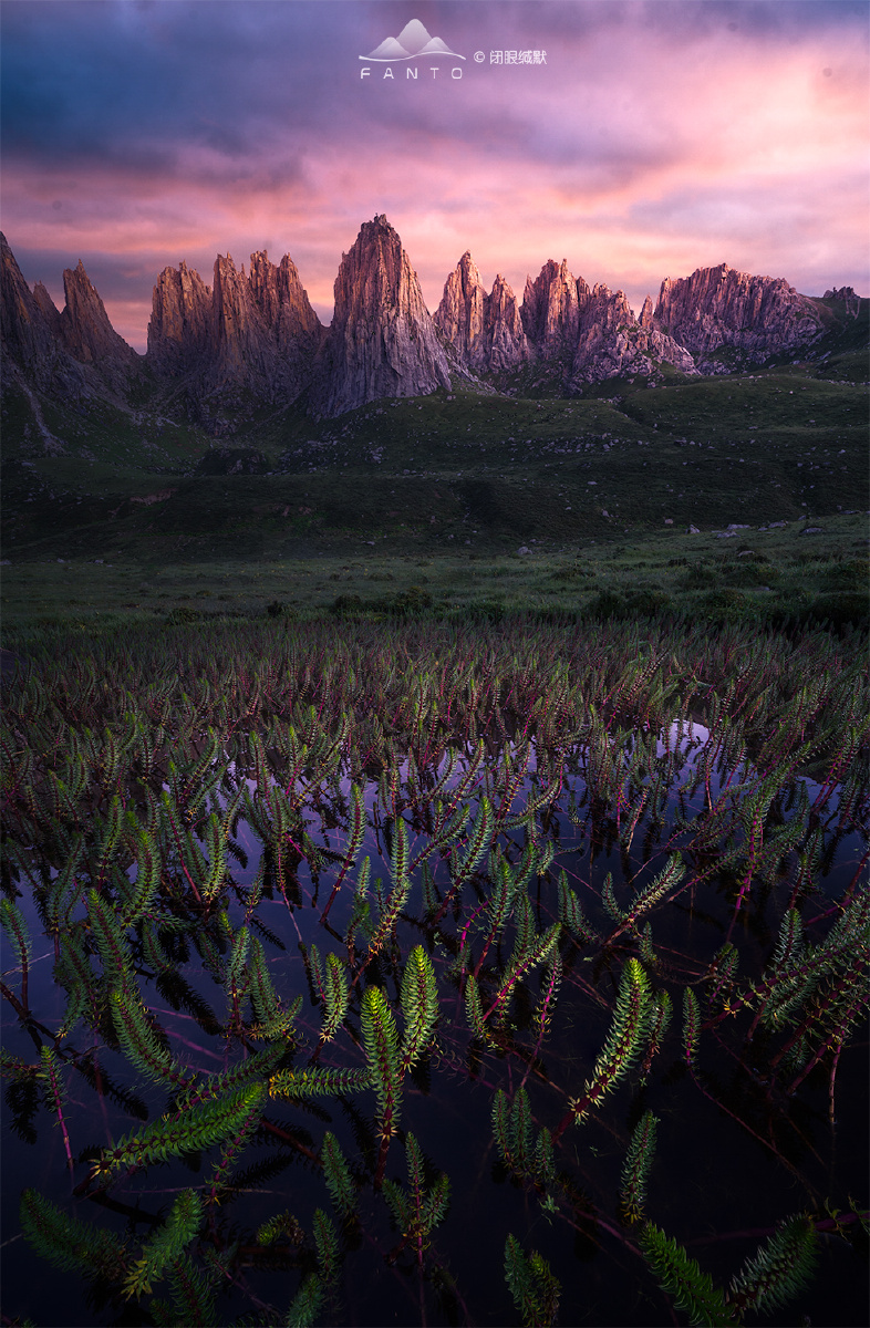 72986图虫一周精选