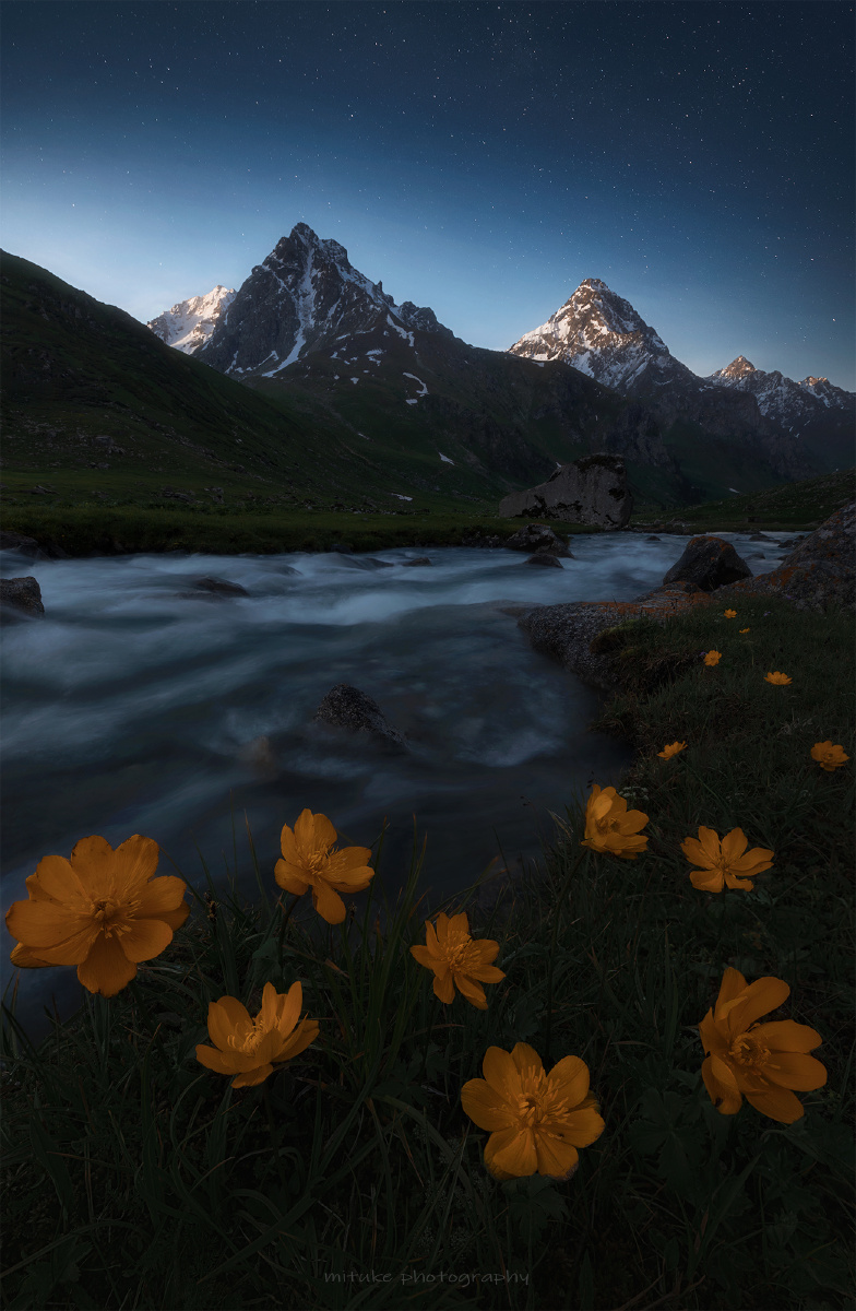 4|为盛大春日而写真 - 图虫精选站