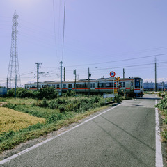 Optional((25)