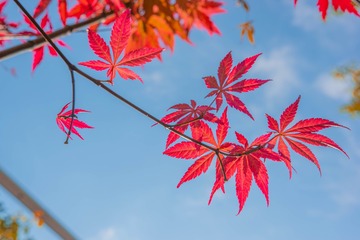 9050